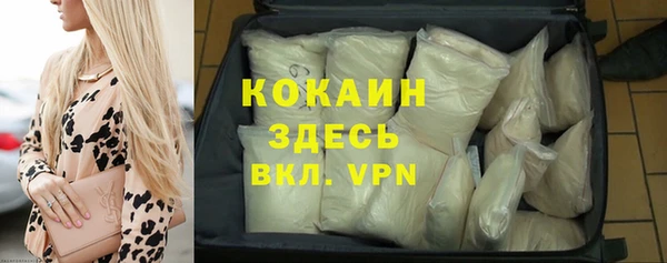стаф Коряжма