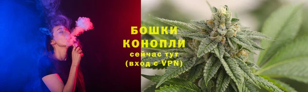 стаф Коряжма