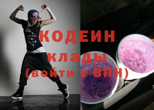 стаф Коряжма