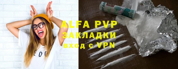 стаф Коряжма