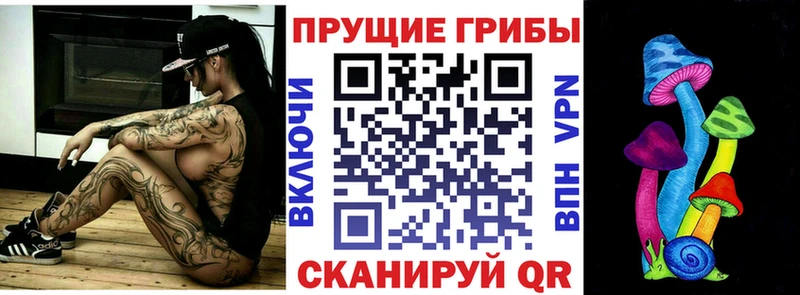 Галлюциногенные грибы Psilocybe  Купить закладки  Володарск 