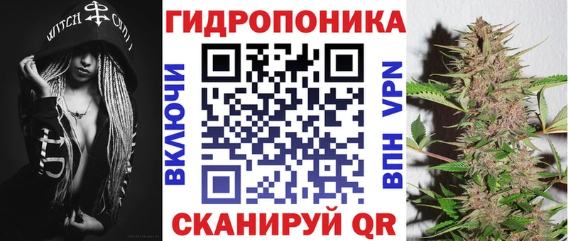 Конопля Bruce Banner  Купить закладки  Володарск 